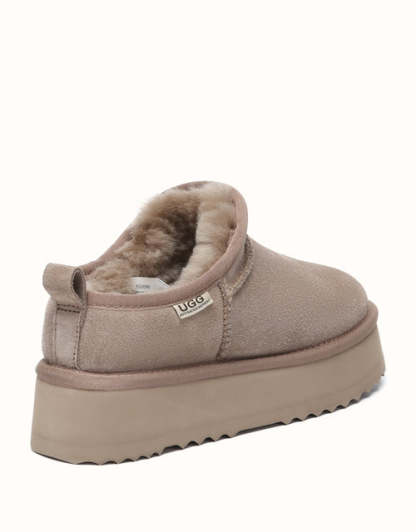 AUSTRthtALIAN SHEPthtHERD Nano Classic Platform