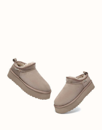 AUSTRthtALIAN SHEPthtHERD Nano Classic Platform