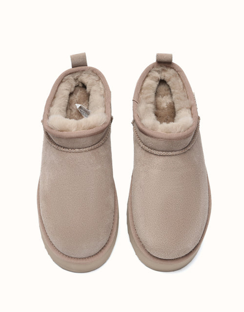 AUSTRthtALIAN SHEPthtHERD Nano Classic Platform