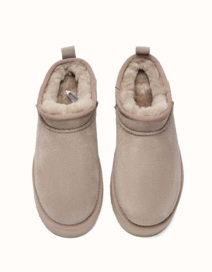 AUSTRthtALIAN SHEPthtHERD Nano Classic Platform