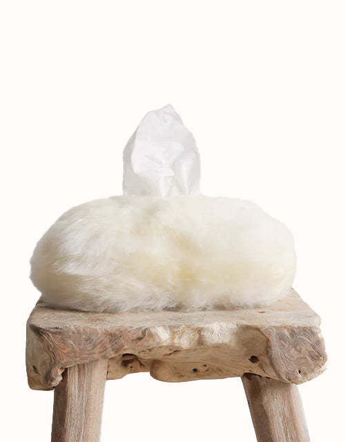 Auskin Lw Tissue Box Cover Plain