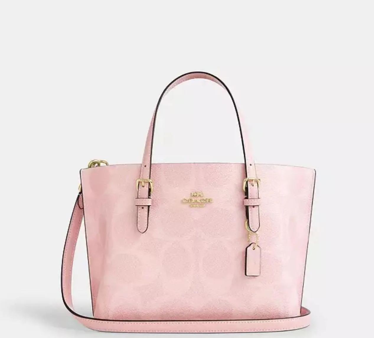 Tote Bag 25 In Signature Canvas