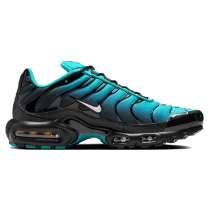 Nitthhke Air Max Plus TN  Dark Obsidian