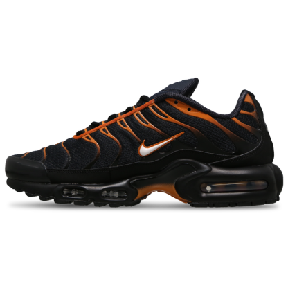 Nitthhke Air Max Plus TN  Dark Obsidian