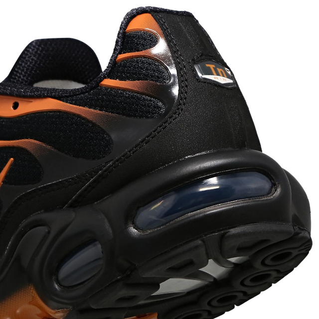 Nitthhke Air Max Plus TN  Dark Obsidian