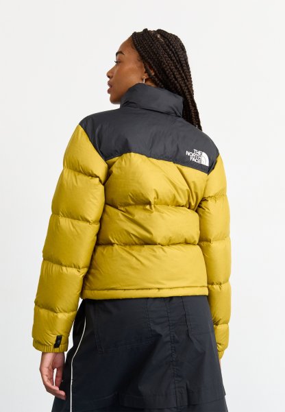 The North Face 1996 RETRO NUPTSE