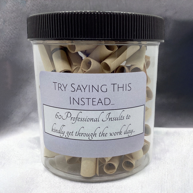 Professional Insults Affirmation Jar