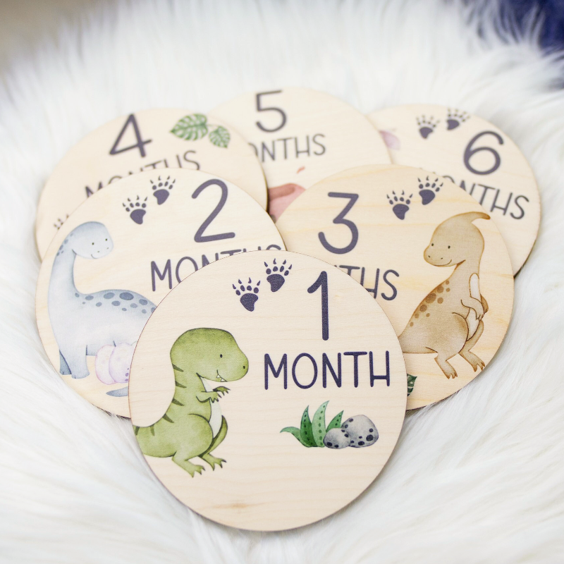 Baby Milestones Dinosaur Disc Markers