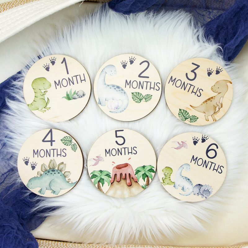Baby Milestones Dinosaur Disc Markers