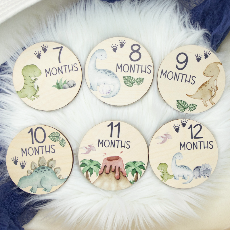 Baby Milestones Dinosaur Disc Markers