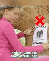 Real-time tracking demo