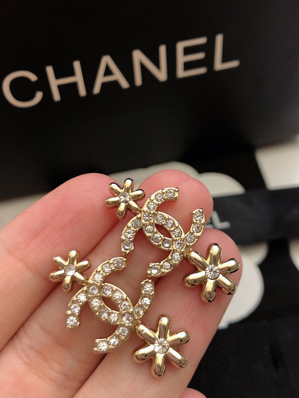 CHL EARRINGS -1349