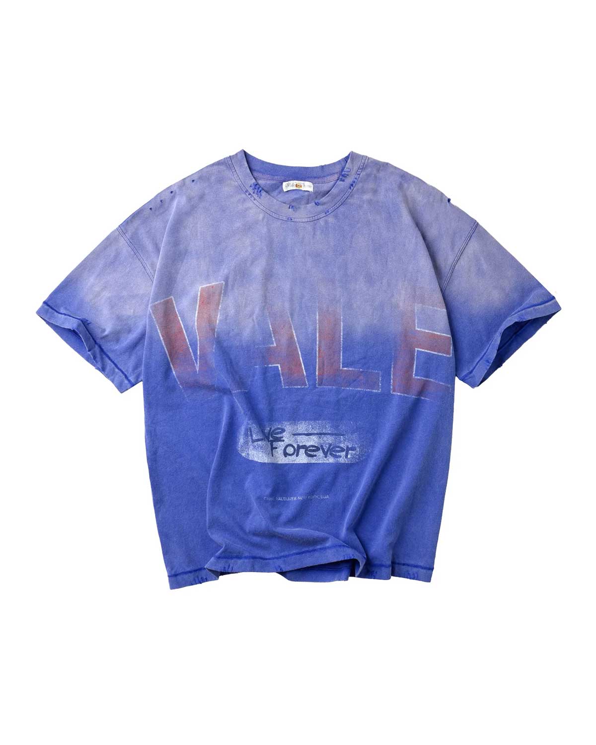 Valexlives Classic 100%Cotton Tee T-Shirt Unisex