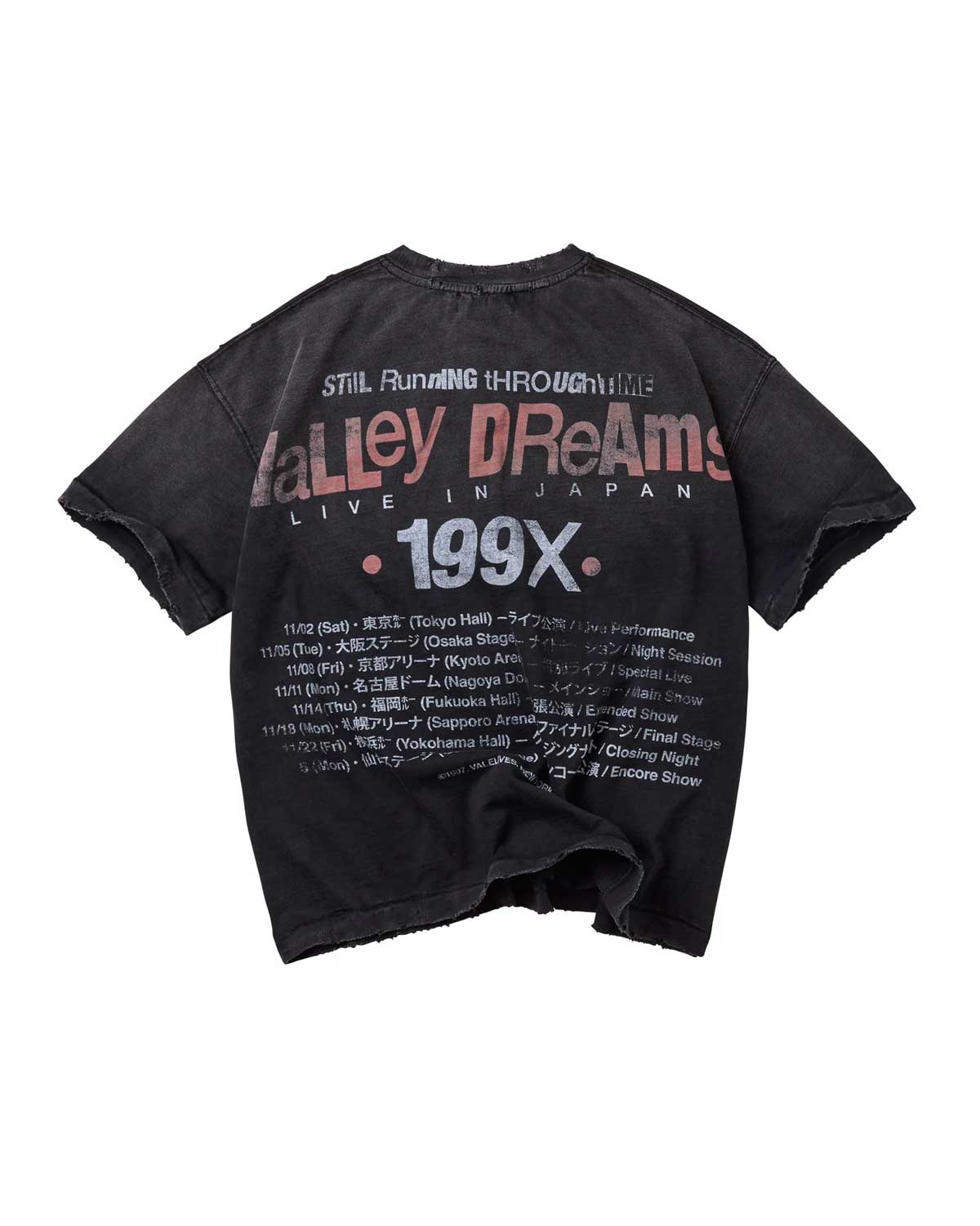 Valexlives Classic 100%Cotton Tee T-Shirt Unisex