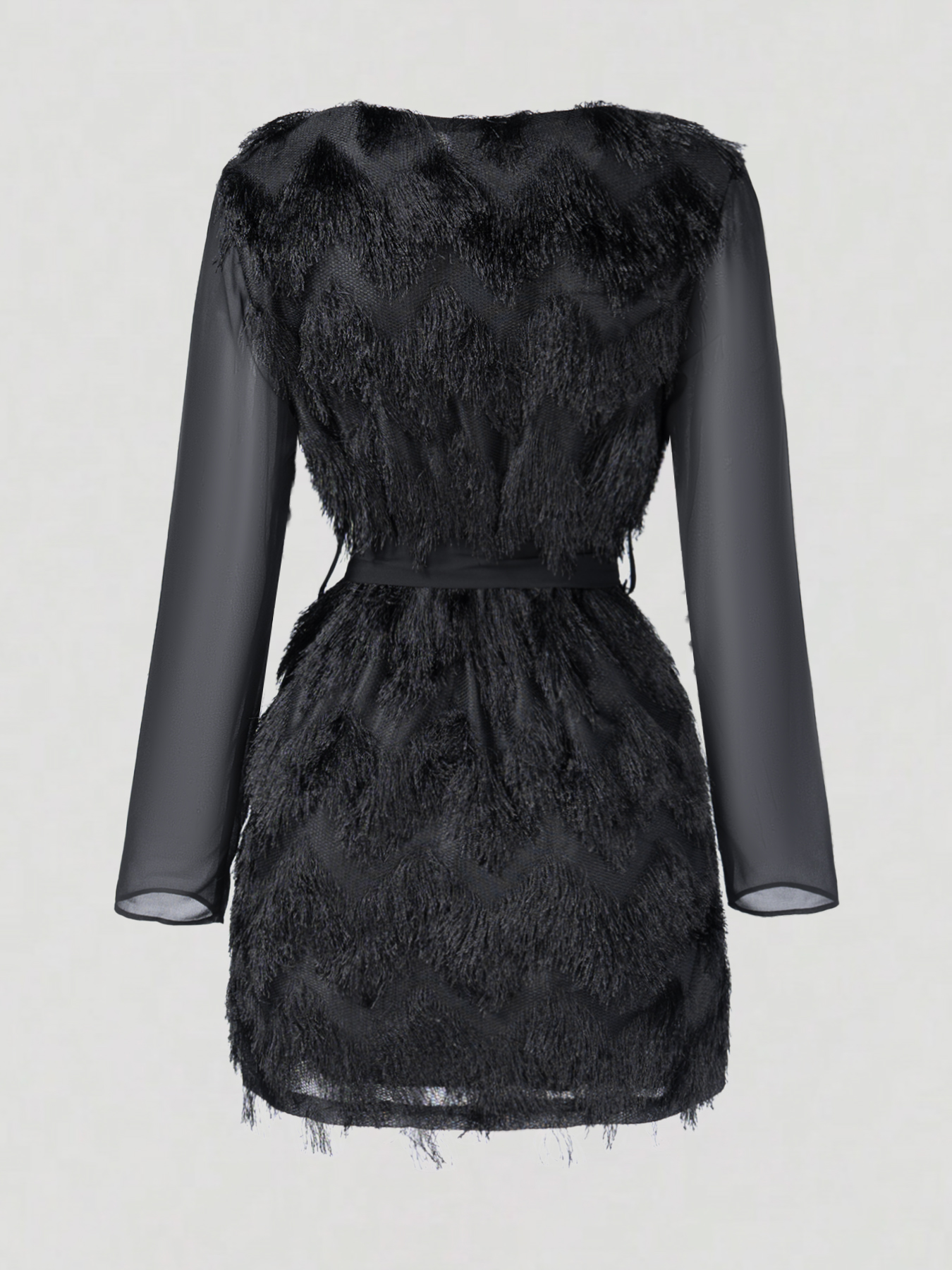 Woman's Round Neck Sheer Long Sleeve Feather Fringe Mini Dress