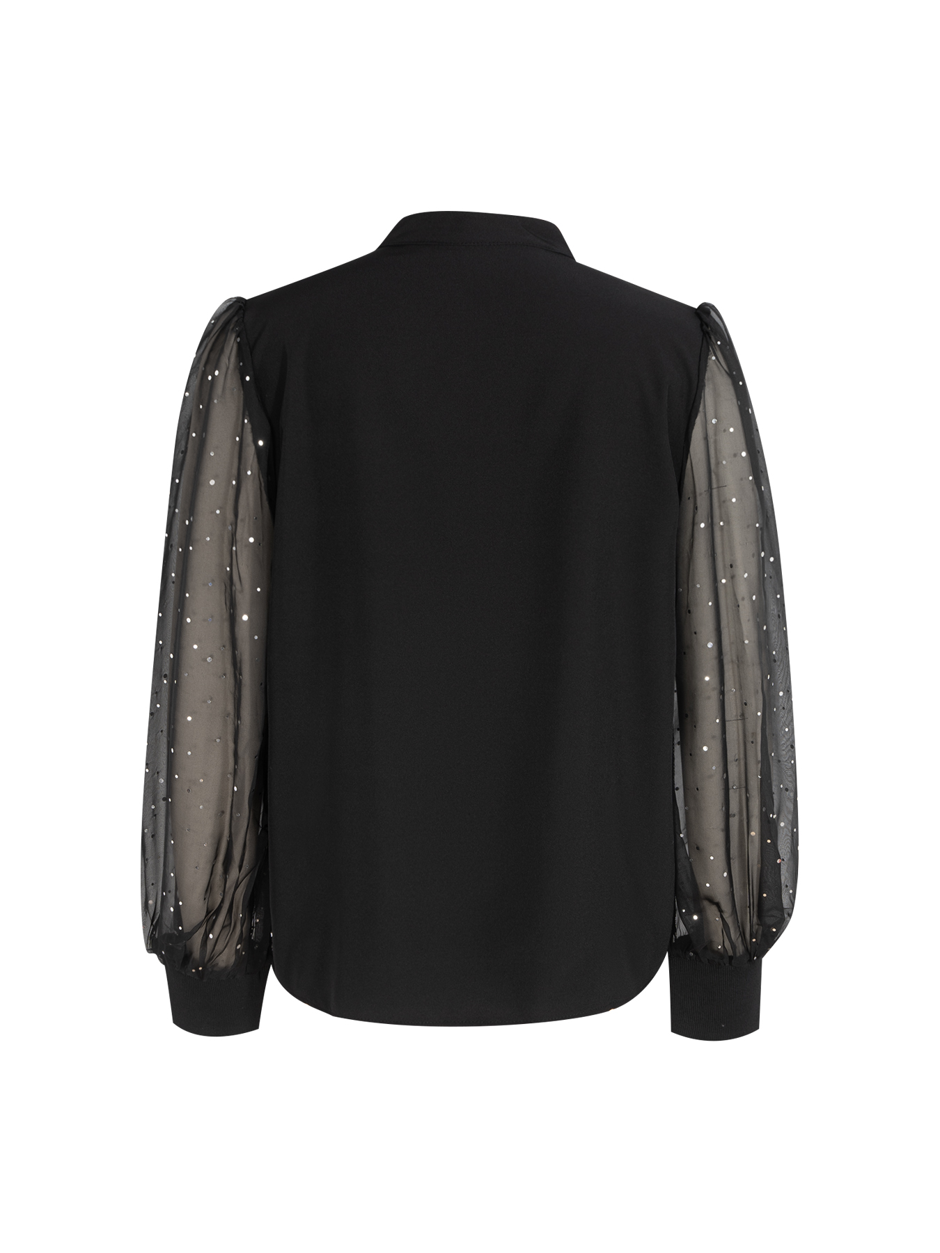 Women's V-Neck Blouse with Sheer Glittery Lantern Sleeves