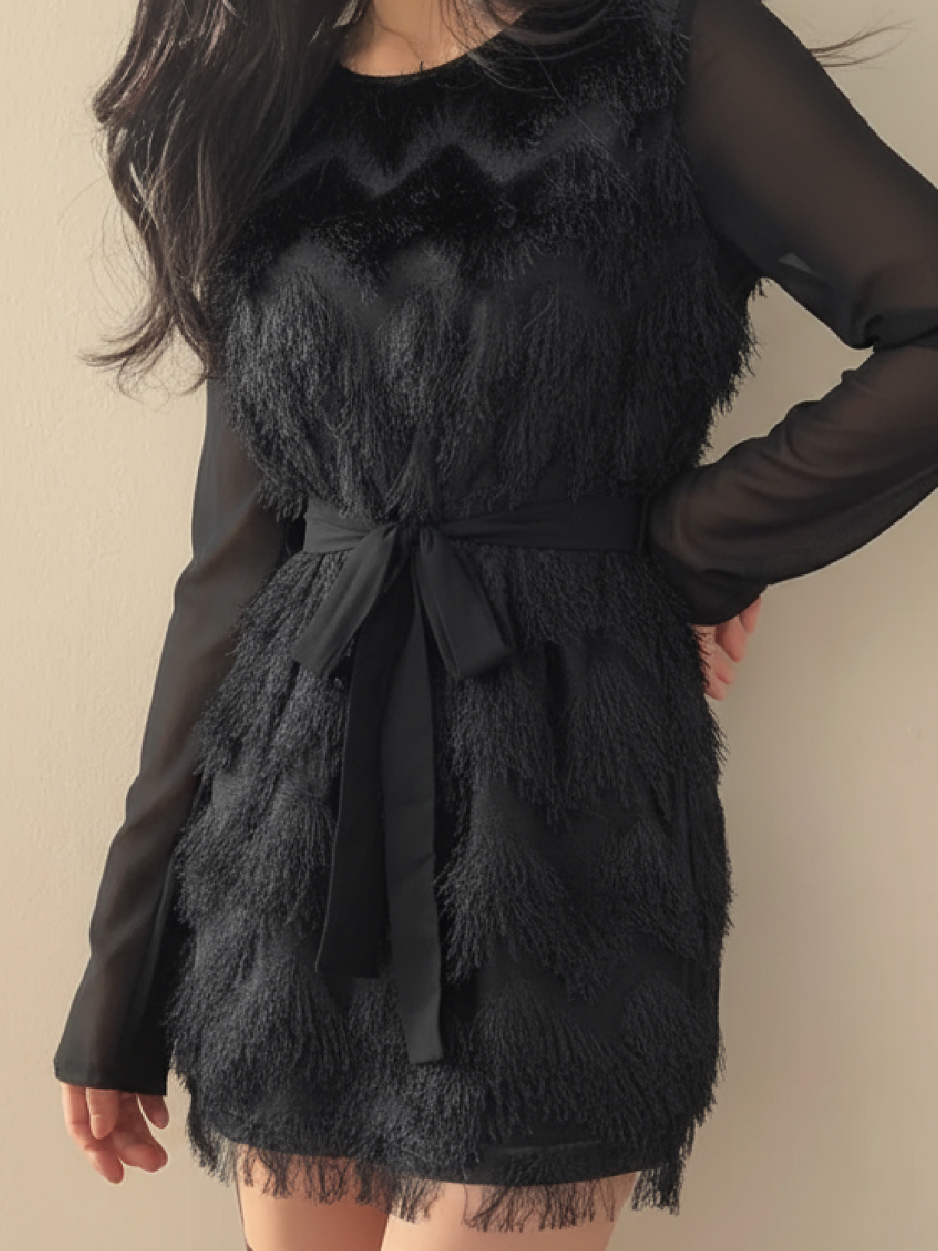 Woman's Round Neck Sheer Long Sleeve Feather Fringe Mini Dress