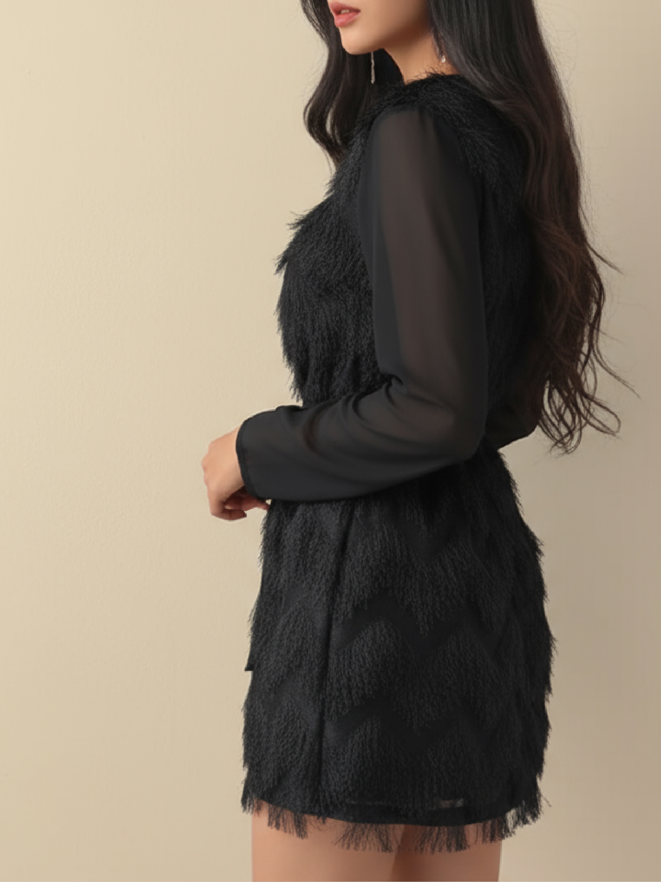 Woman's Round Neck Sheer Long Sleeve Feather Fringe Mini Dress