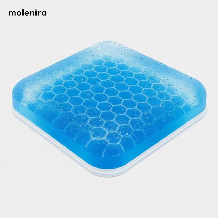 Spring Ice Cushion Seat Cooling Steam Cushion (10 Pack)