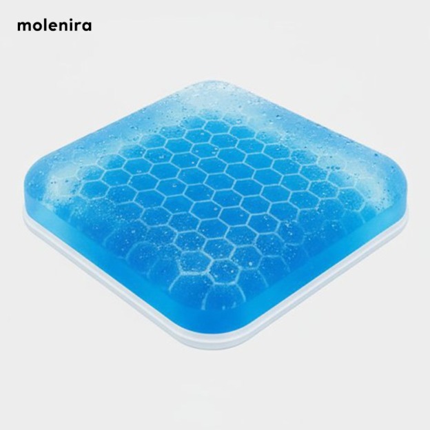 Spring Ice Cushion Seat Cooling Steam Cushion (10 Pack)