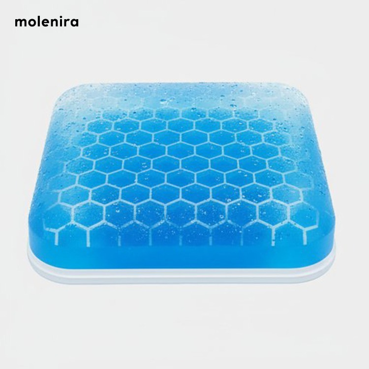 Spring Ice Cushion Seat Cooling Steam Cushion (10 Pack)