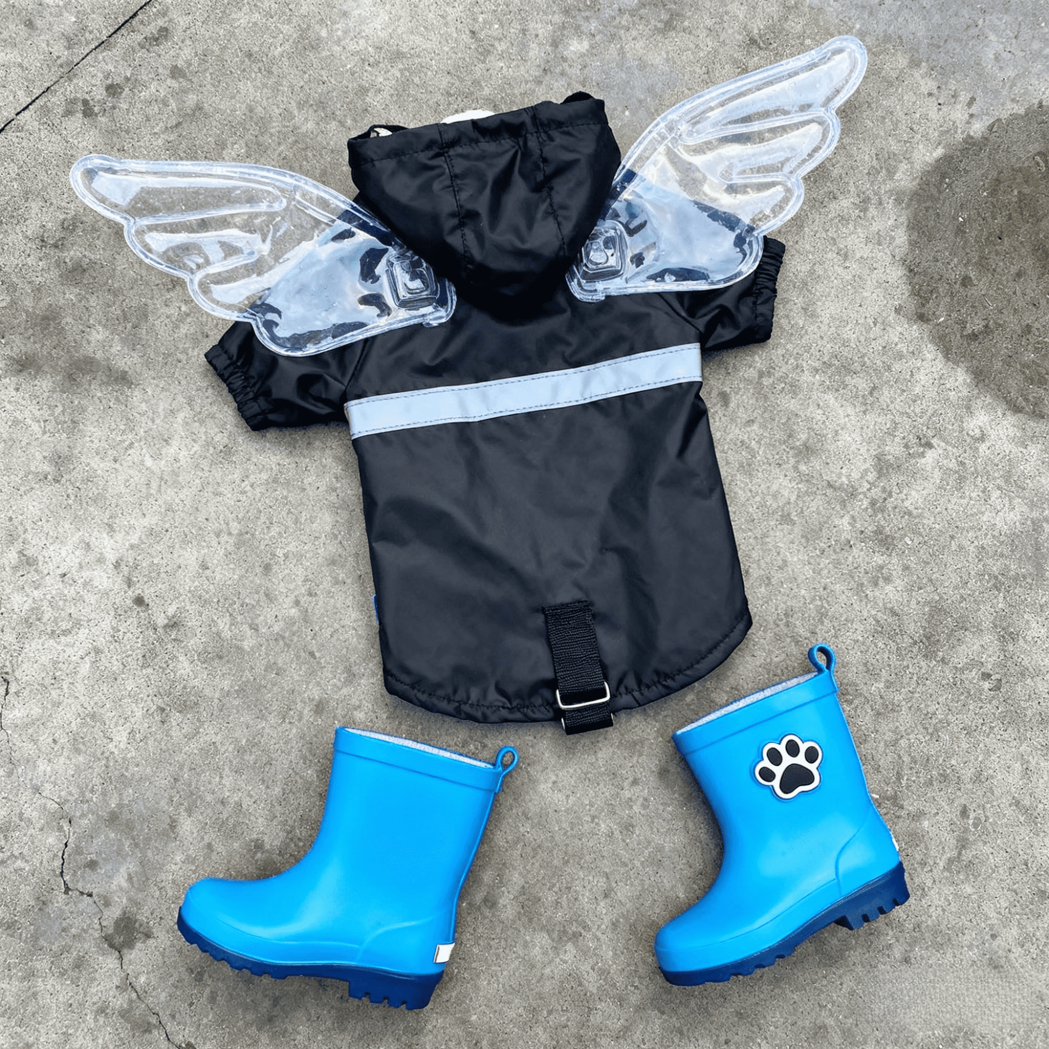 Pet clothing and accessories