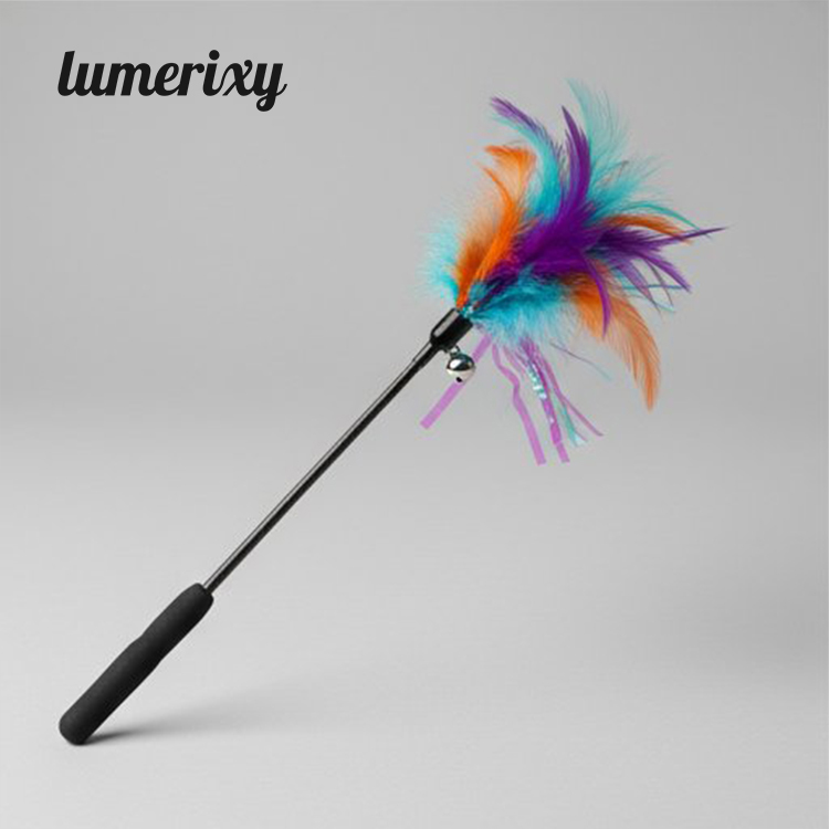Lumerixy Long steel wire cat teaser with feathers