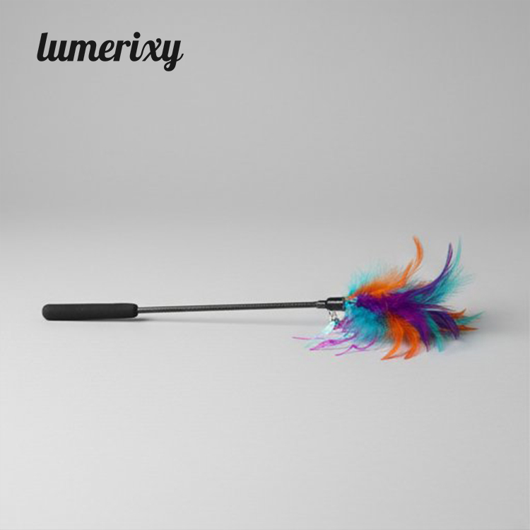 Lumerixy Long steel wire cat teaser with feathers