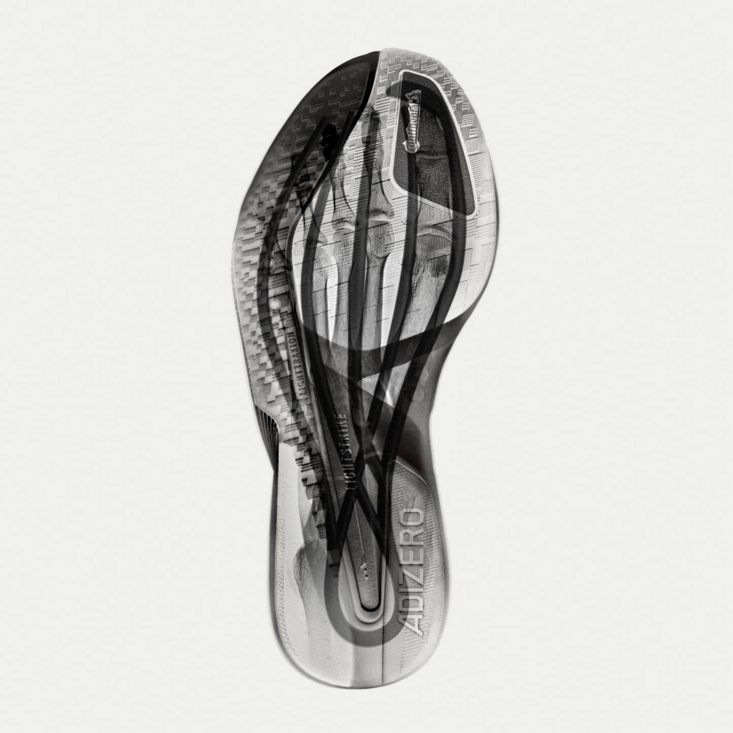 Hommes • Running CHAUSSURE ADIZERO BOSTON 13 EQT