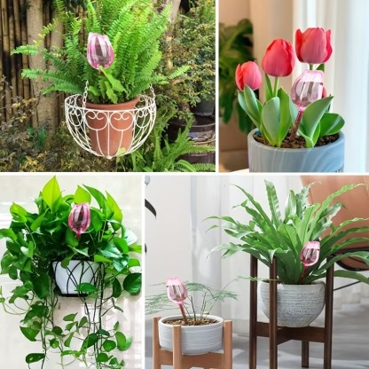 Tulip-Shaped Plant Watering Globes with Narrow Nozzle Slow-Drip Design