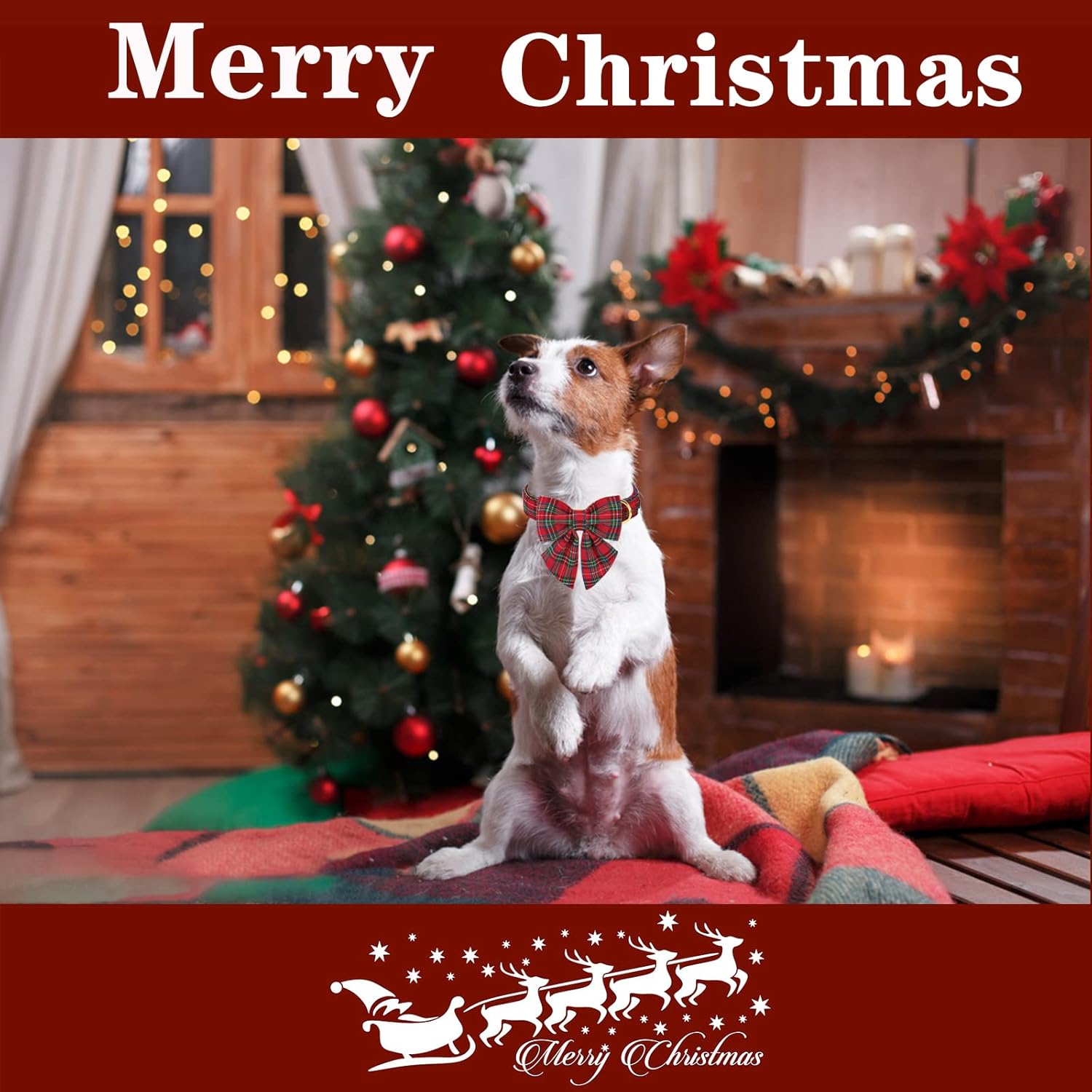Christmas Pet Collar with Bow Tie