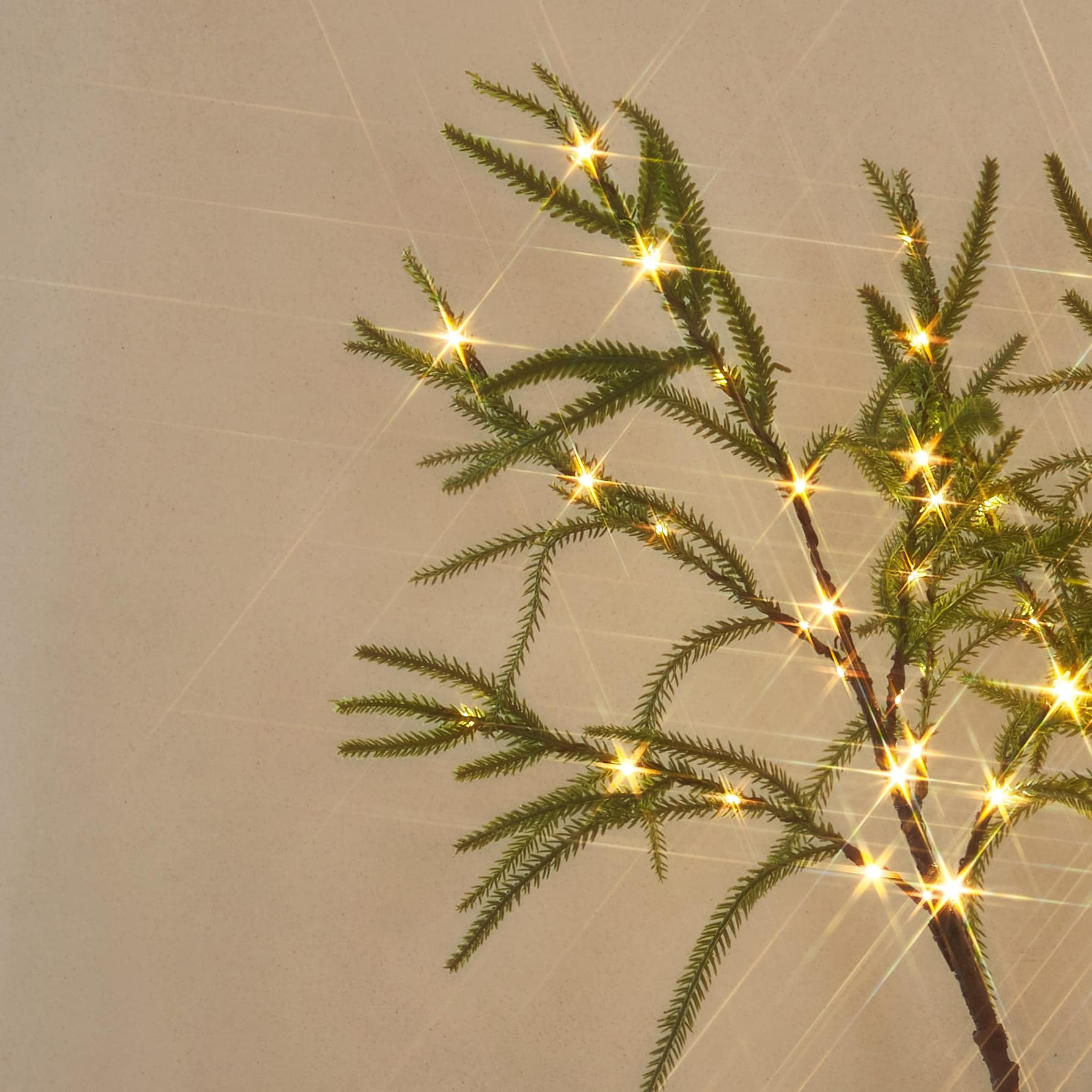 Pre-lit Norfolk Pine Branches with 60 Fairy Lights & Timer