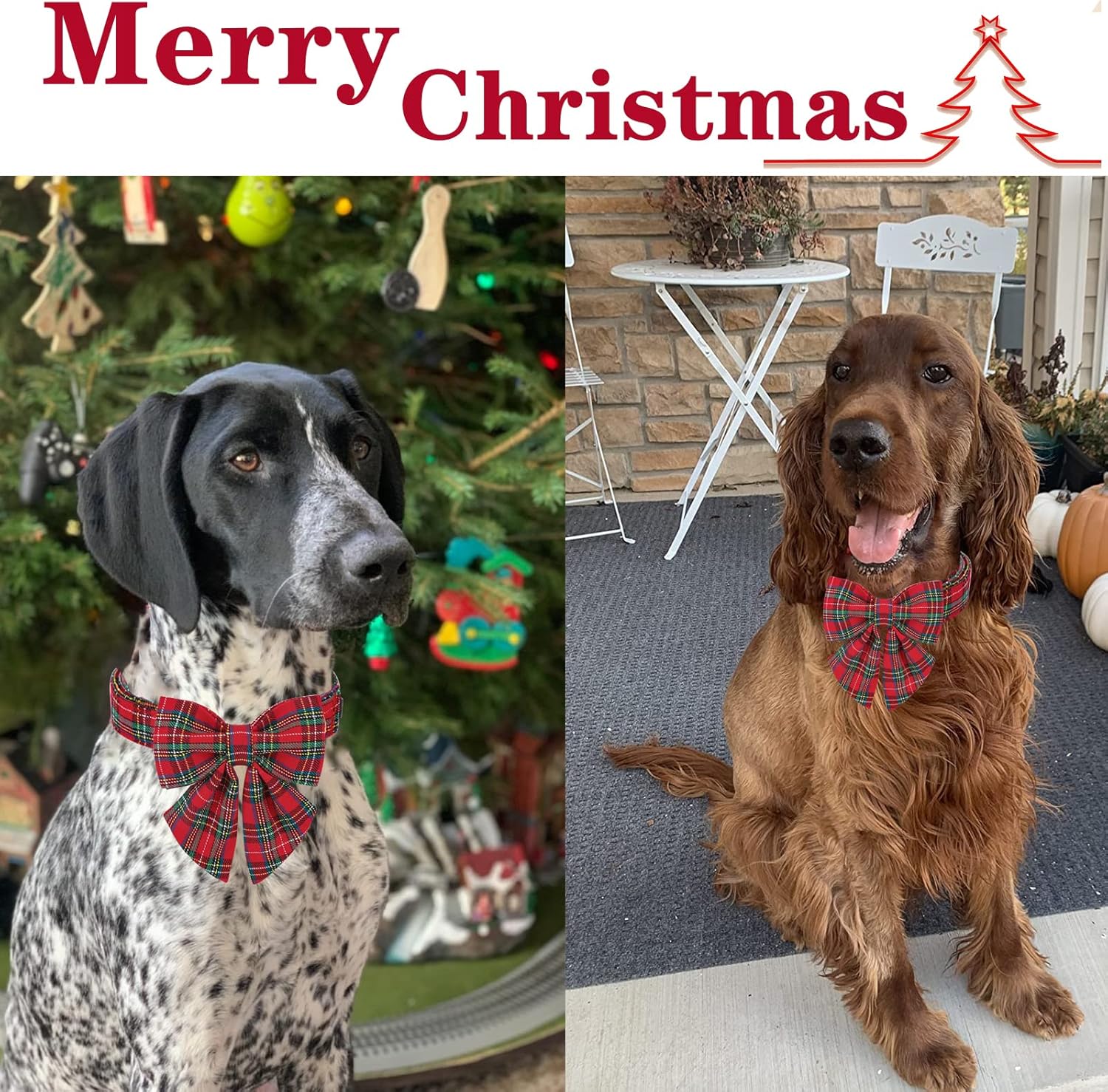 Christmas Pet Collar with Bow Tie