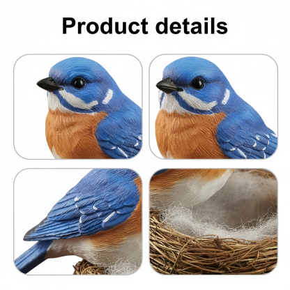 Spring Bird Nest Collection