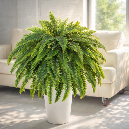 Classic Boston Fern Porch Planter – Lush Green Entryway Decor