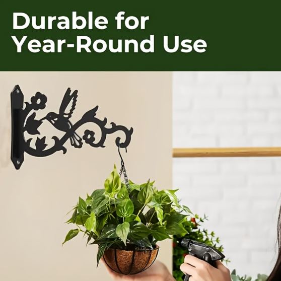 Hummingbird Metal Wall Plant Hanger Bracket