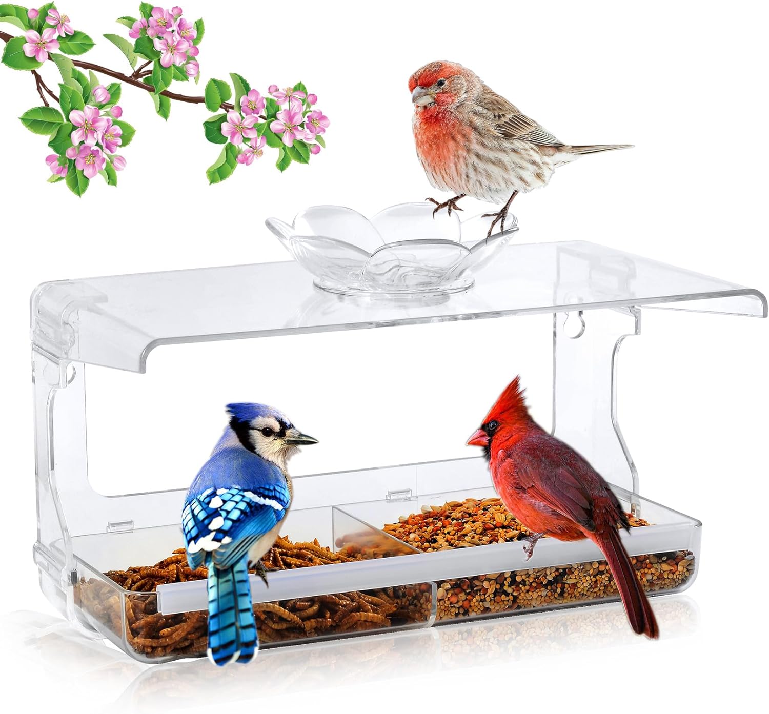 Window Bird Feeder with Bird Bath Bowl