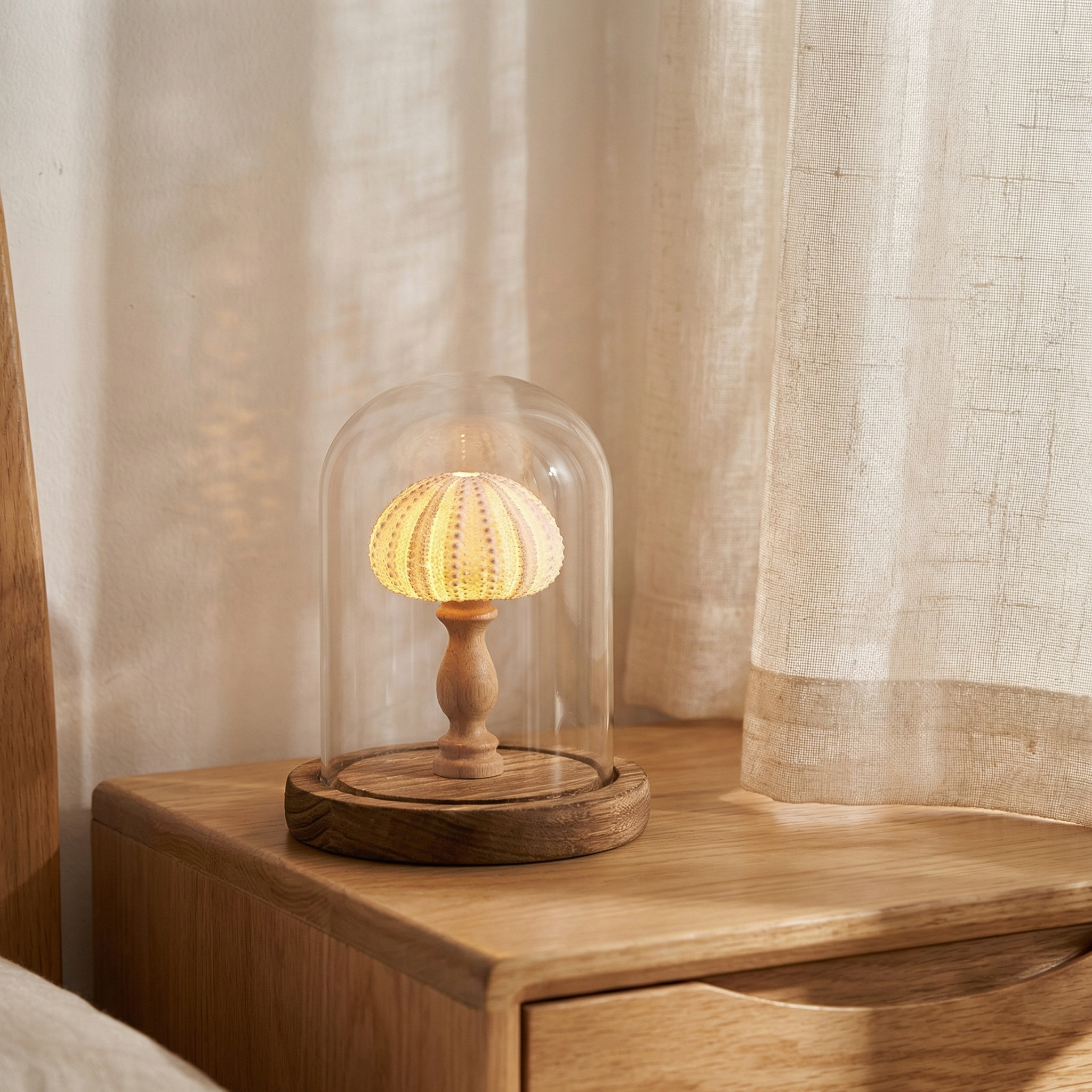 Handmade Sea Urchin Shell Warm Ambient Night Light