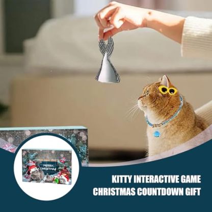 Cat Advent Calendar Christmas Countdown Toy Box