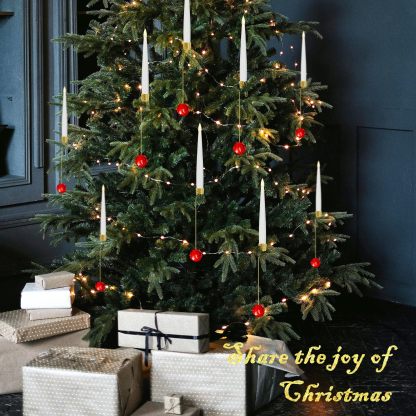 6Pcs LED Candles with Remote Timer and Hanging Hooks