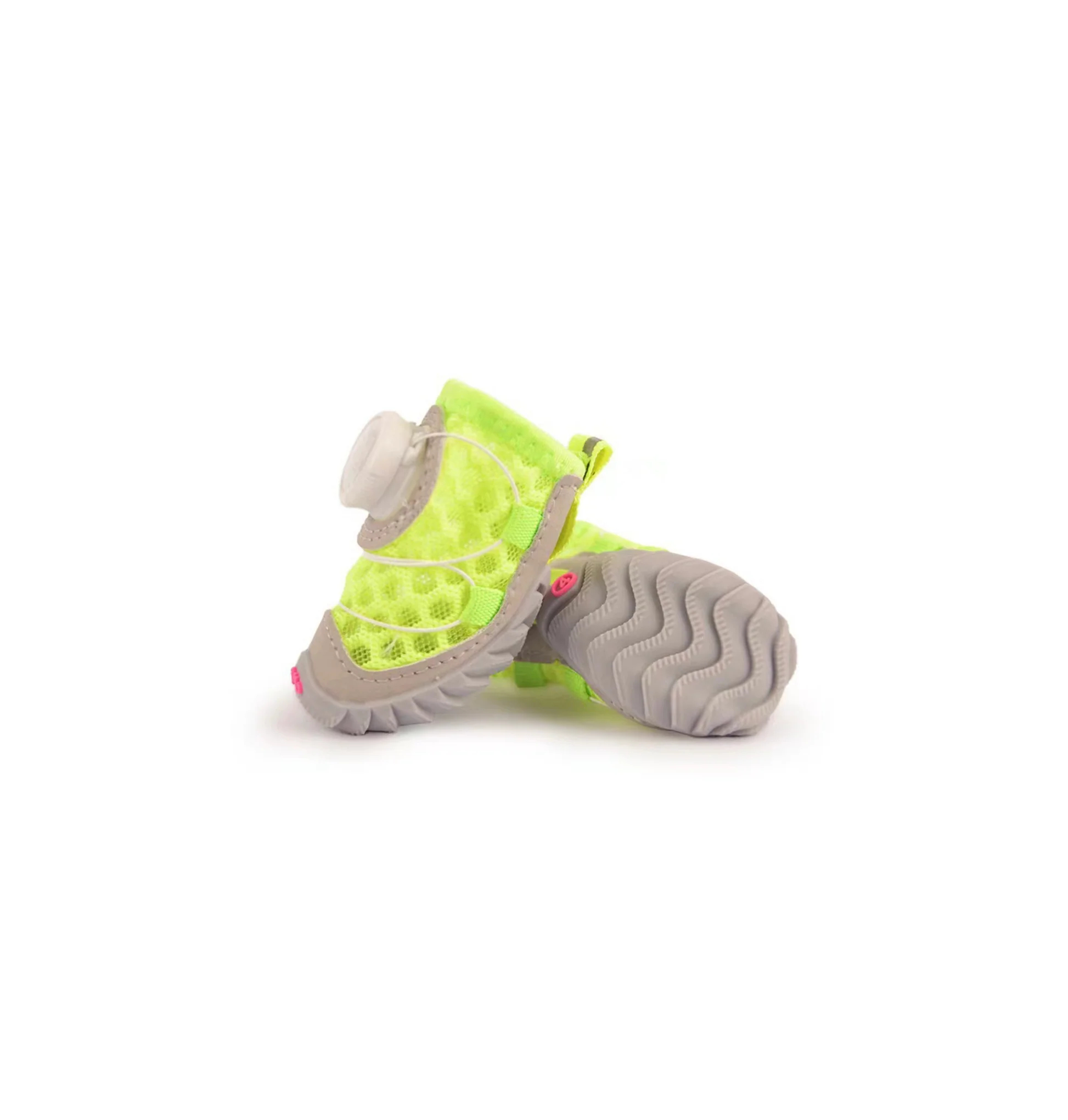 Social Glow Dog Shoes