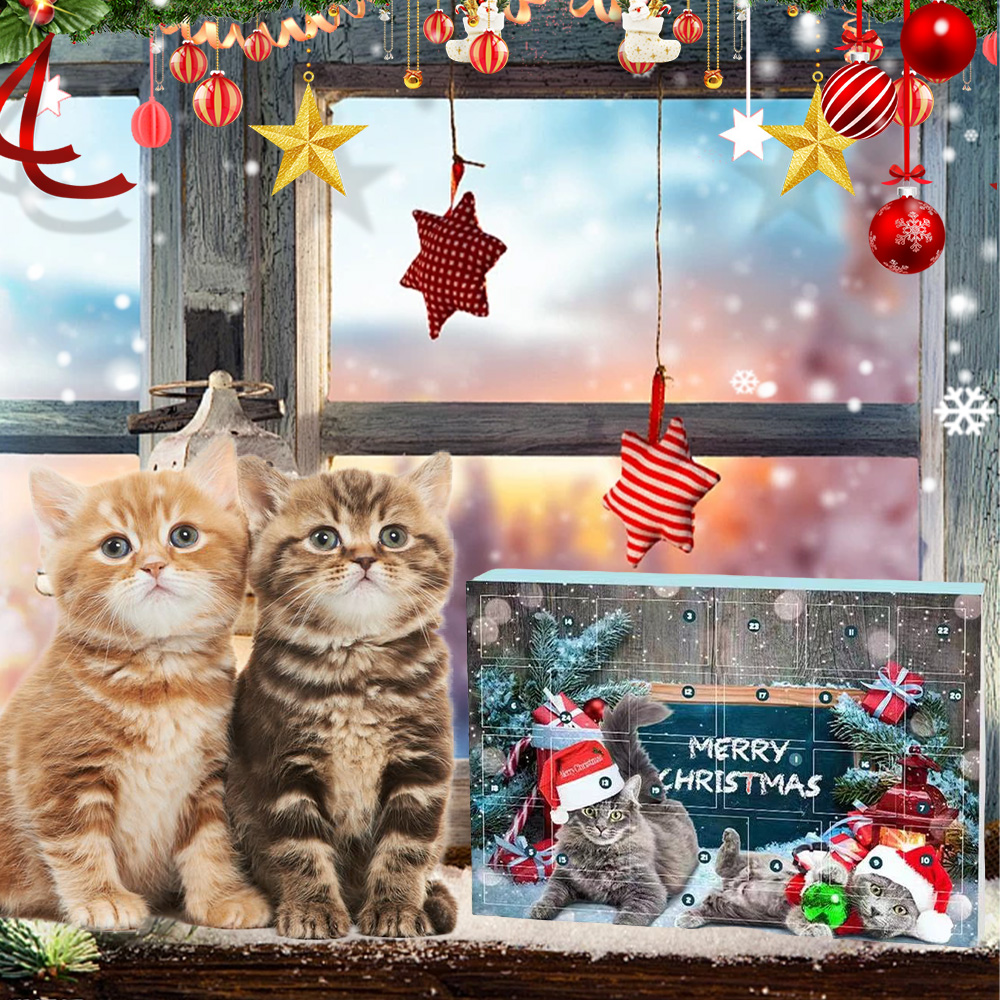 Cat Advent Calendar Christmas Countdown Toy Box