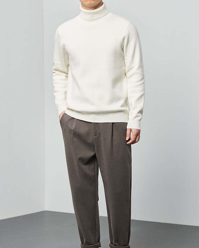 The Momeike Classic Solid Turtleneck Sweater