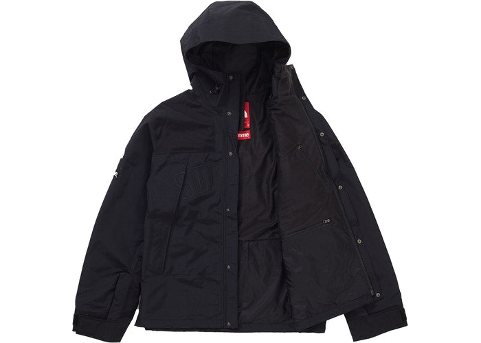 The North Face Arc Logo Mountain Parka (Black)