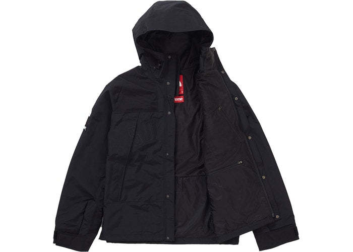 The North Face Arc Logo Mountain Parka (Black)