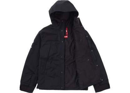 The North Face Arc Logo Mountain Parka (Black)