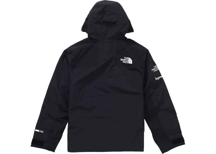 The North Face Arc Logo Mountain Parka (Black)