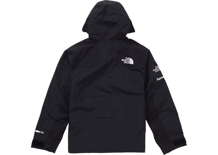 The North Face Arc Logo Mountain Parka (Black)