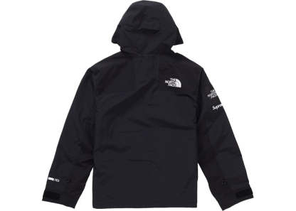The North Face Arc Logo Mountain Parka (Black)
