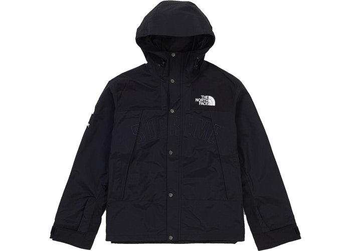 The North Face Arc Logo Mountain Parka (Black)